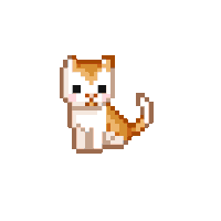 Cat GIF